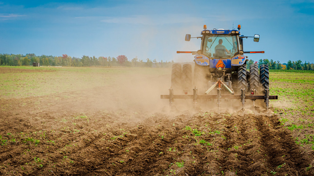 Czy AI zastąpi CEO? Sam Altman i Piotr Kowynia analizują wpływ sztucznej inteligencji na zarządy.  ALtman zapowiada, że  zostanie rolnikiem. Openverse