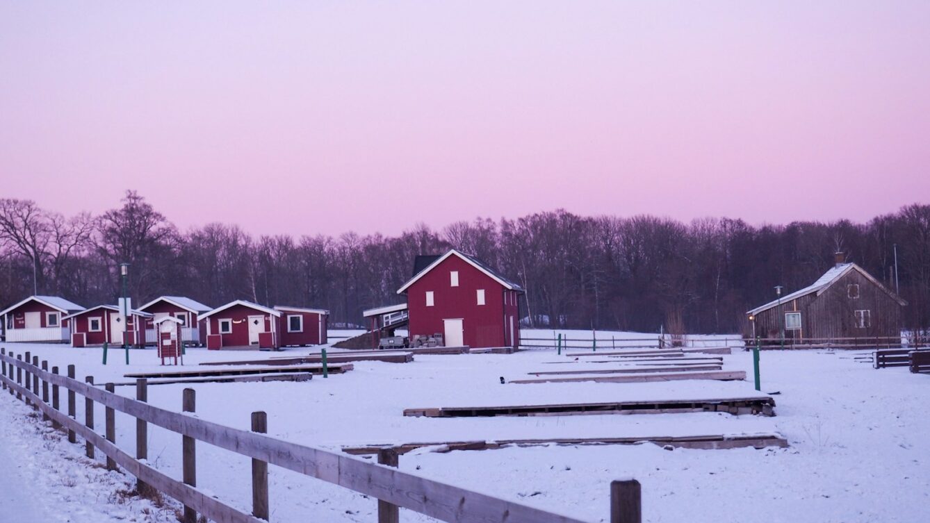 Czy pompa ciepła ogrzeje dom przy -30°C? Skandynawowie montują je w 90% nowych domów, osiągając 200% sprawności. fot: Sabrina Longo/Unsplash