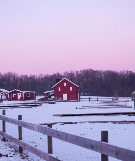 Czy pompa ciepła ogrzeje dom przy -30°C? Skandynawowie montują je w 90% nowych domów, osiągając 200% sprawności. fot: Sabrina Longo/Unsplash