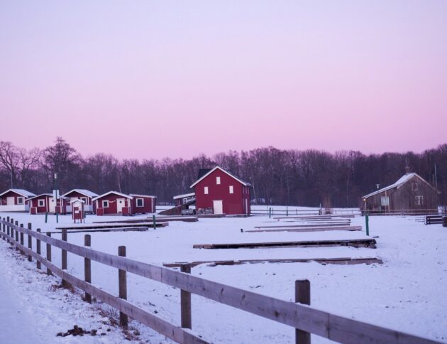 Czy pompa ciepła ogrzeje dom przy -30°C? Skandynawowie montują je w 90% nowych domów, osiągając 200% sprawności. fot: Sabrina Longo/Unsplash