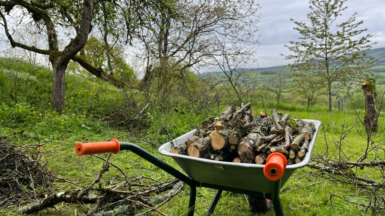 Nie wolno palić ogniska w 2026 roku. fot: Alfred van der Zwaard/Unsplash