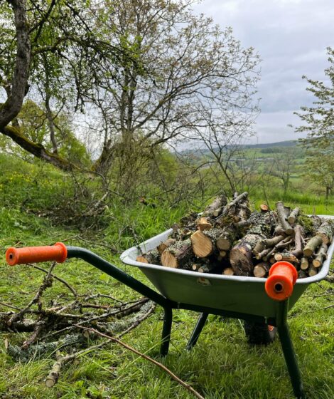 Nie wolno palić ogniska w 2026 roku. fot: Alfred van der Zwaard/Unsplash