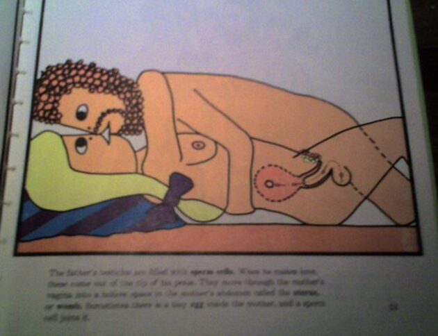 Plemniki są najszybsze latem. Przełomowe badania BBC i naukowców z UK. Pixabay