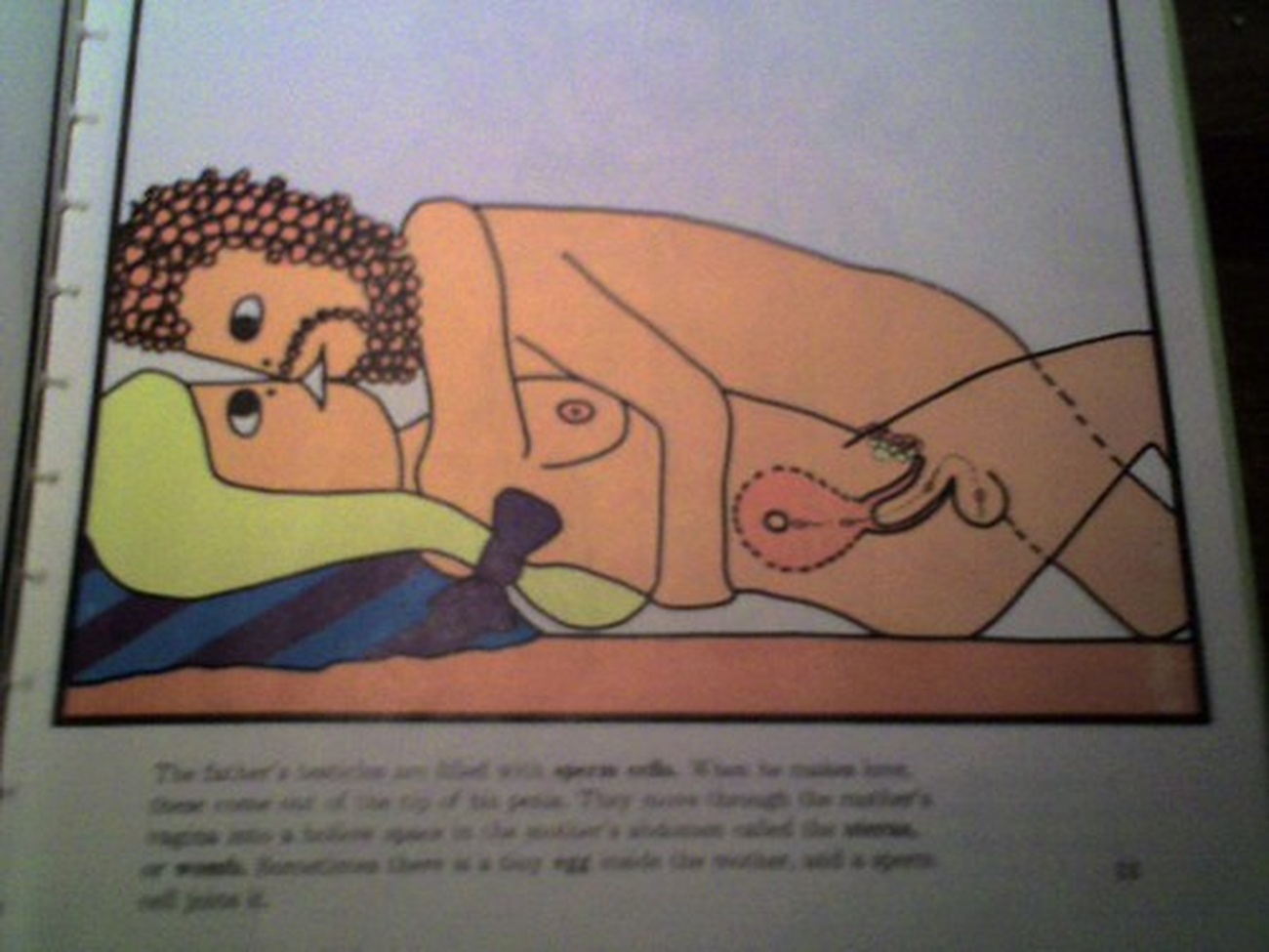 Plemniki są najszybsze latem. Przełomowe badania BBC i naukowców z UK. Pixabay