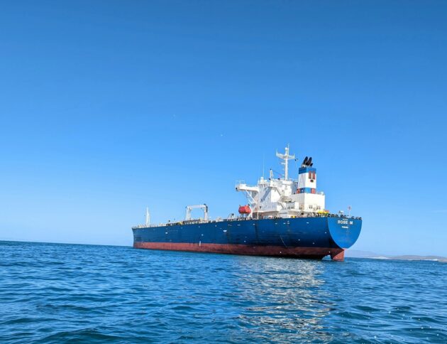 Indie mogą kupować rosyjską ropę z tankowców na Oceanie Indyjskim. fot: Scott Tobin/Unsplash