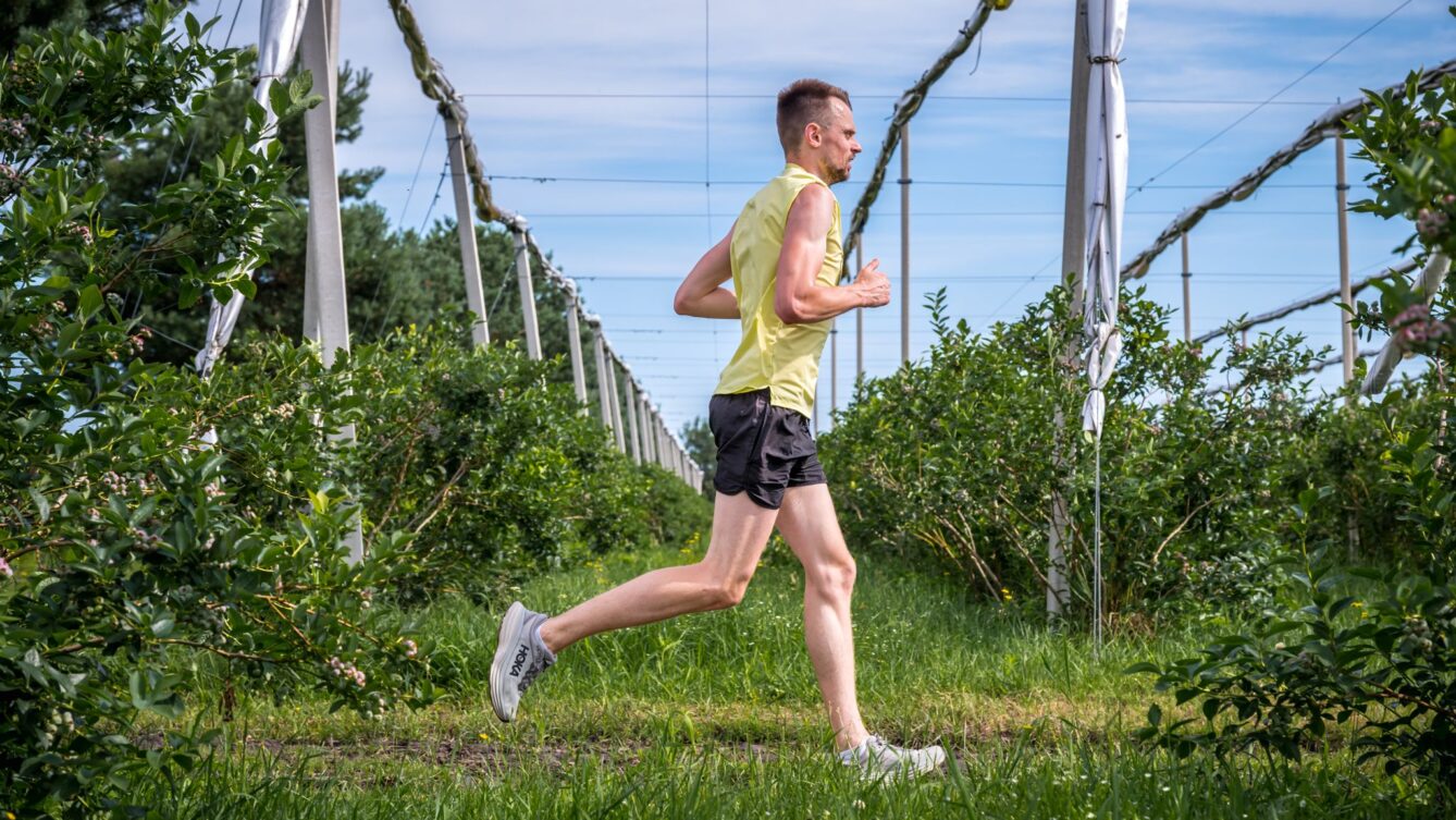 Fot. Krajowy Związek Grup Producentów Owoców i Warzyw/M. Stodolski