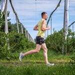 Fot. Krajowy Związek Grup Producentów Owoców i Warzyw/M. Stodolski