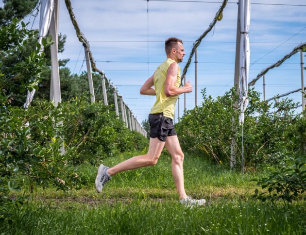 Fot. Krajowy Związek Grup Producentów Owoców i Warzyw/M. Stodolski