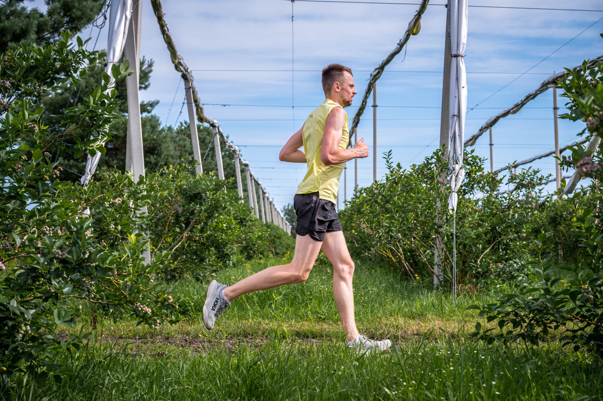 Fot. Krajowy Związek Grup Producentów Owoców i Warzyw/M. Stodolski