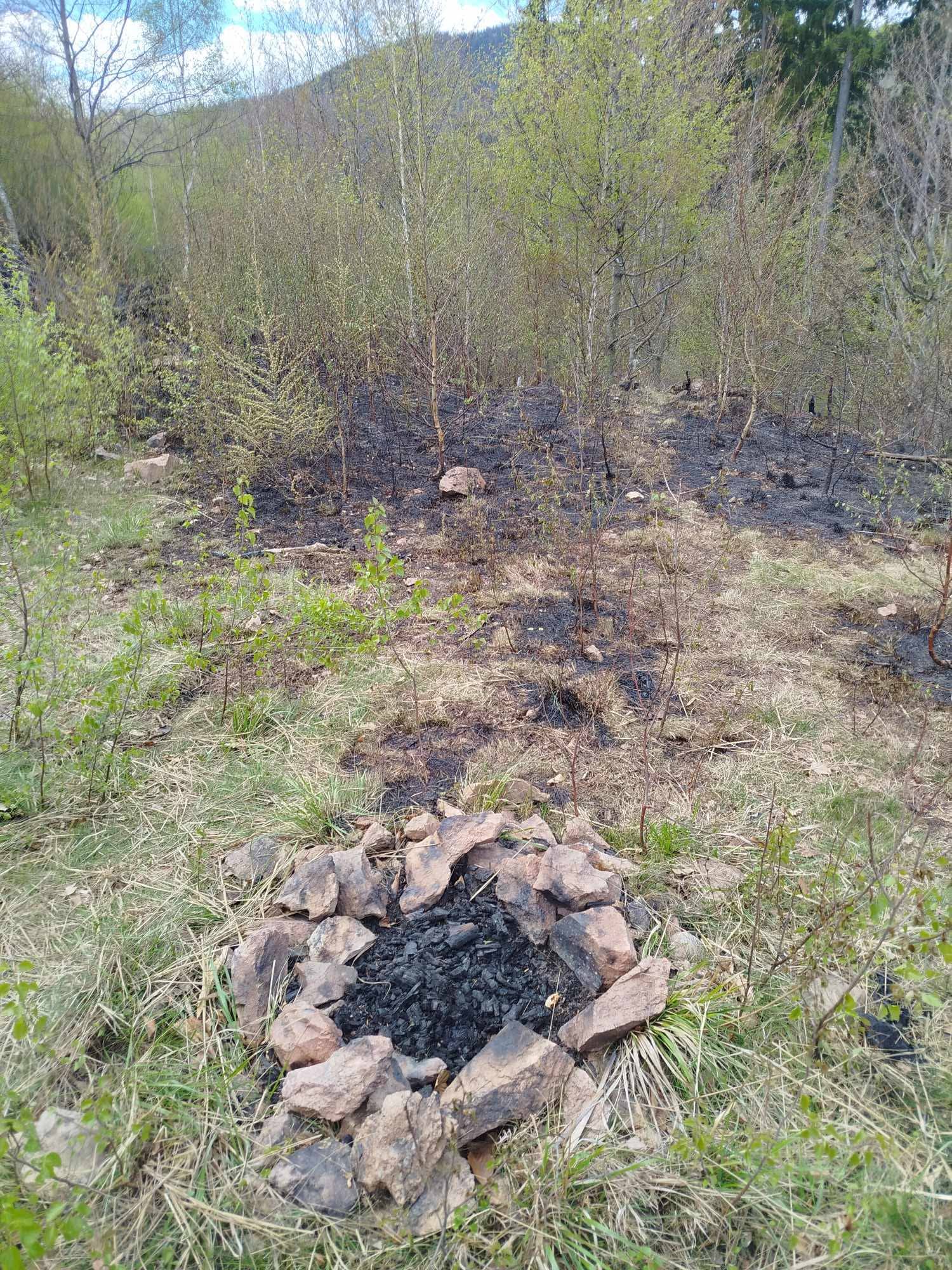Pożar lasu. Niedogaszone ognisko./ Nadleśnictwo Wałbrzych