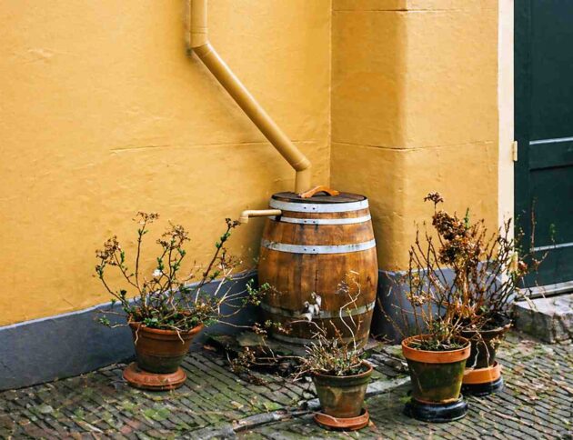 Dofinansowanie na Mikroretencję. Źródło: FaktyPlus