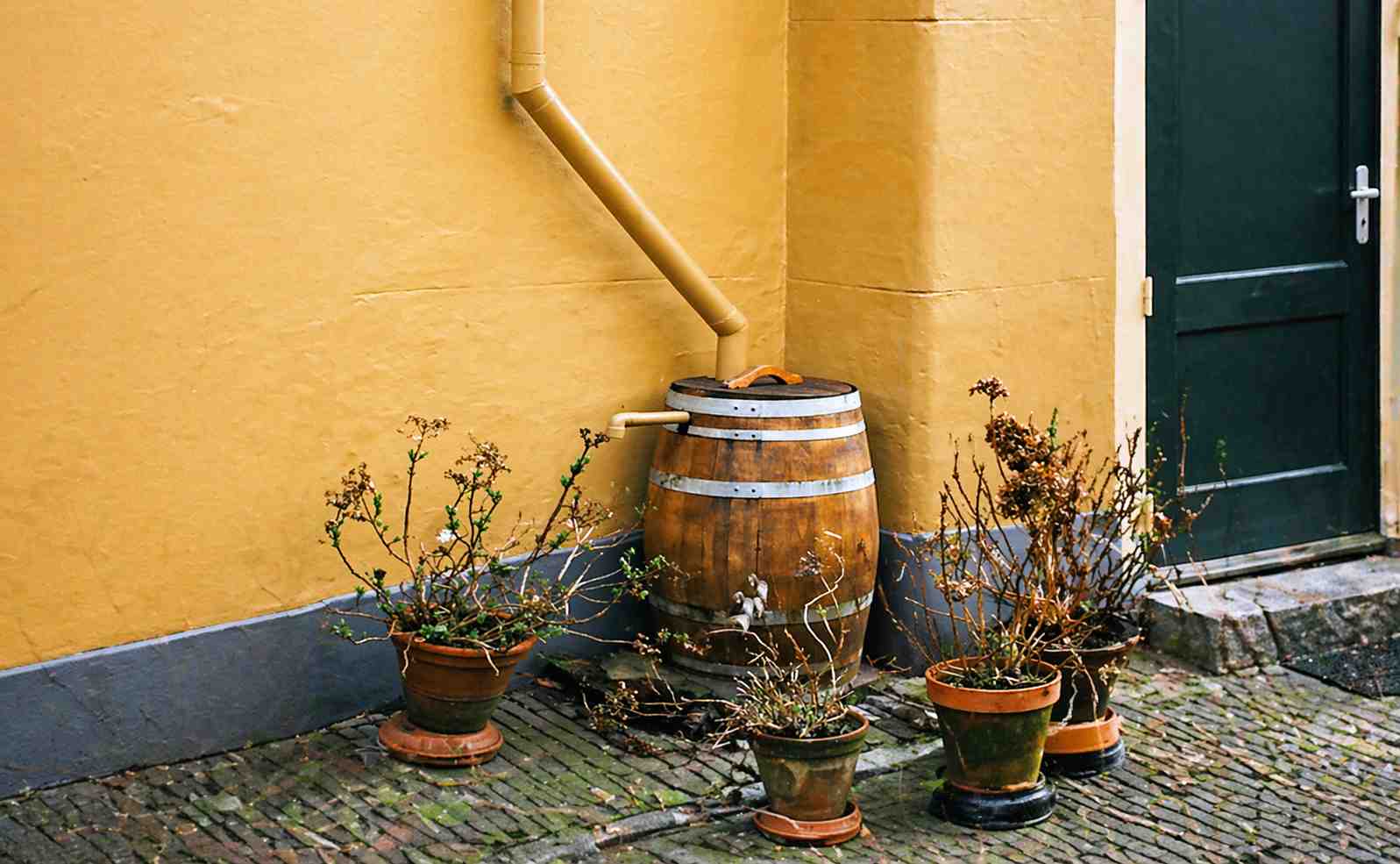 Dofinansowanie na Mikroretencję. Źródło: FaktyPlus