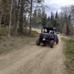 Buggy na leśnych drogach w okolicach Bukowiny Tatrzańskiej. fot: Rafał Bernasiński