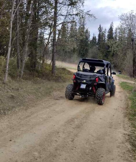 Buggy na leśnych drogach w okolicach Bukowiny Tatrzańskiej. fot: Rafał Bernasiński