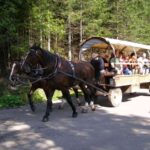 Fasiąg - zaprzęg wożący turystów nad Morskie Oko/ TPN