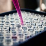 W UE trwają prace nad Aktem o Biotechnologii. Zdaniem Krajowych Producentów Leków, powinien on poszerzać dostęp do terapii biologicznych, stymulować konkurencję i zachęcać do produkcji tych leków w UE.