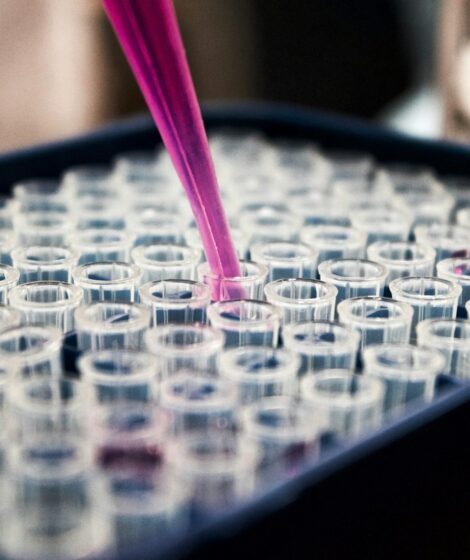 W UE trwają prace nad Aktem o Biotechnologii. Zdaniem Krajowych Producentów Leków, powinien on poszerzać dostęp do terapii biologicznych, stymulować konkurencję i zachęcać do produkcji tych leków w UE.