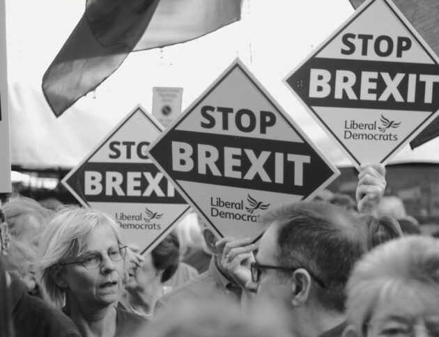 People holding "stop brexit" signs at a rally. fot: Zeno Hind/Unsplash