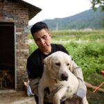 Yulin dog slaughterhouse closure and rescue on 7th June 2026. N/A / Confidential for Humane World for Animals
