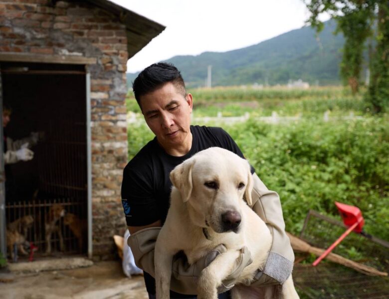 Yulin dog slaughterhouse closure and rescue on 7th June 2026. N/A / Confidential for Humane World for Animals