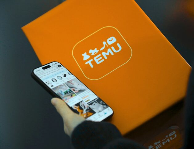 Person holding phone with temu logo box