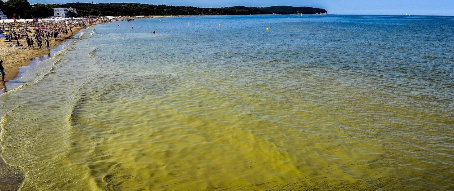 Sinice. Powiatowa Stacja Sanitarno-Epidemiologiczna w Golubiu-Dobrzyniu