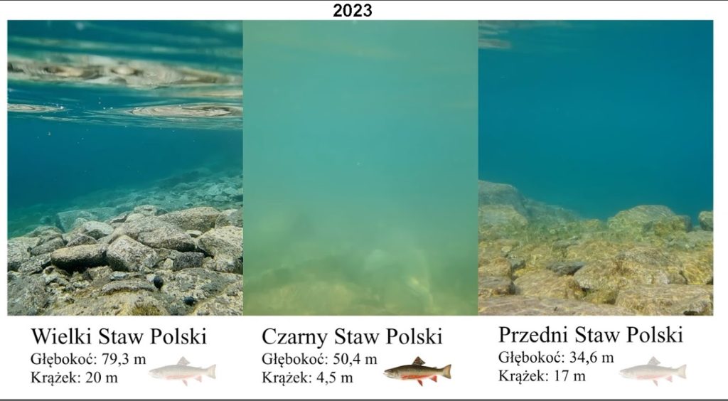 Dolina Pięciu Stawów. Źródło: Zakład Hydrobiologii UW