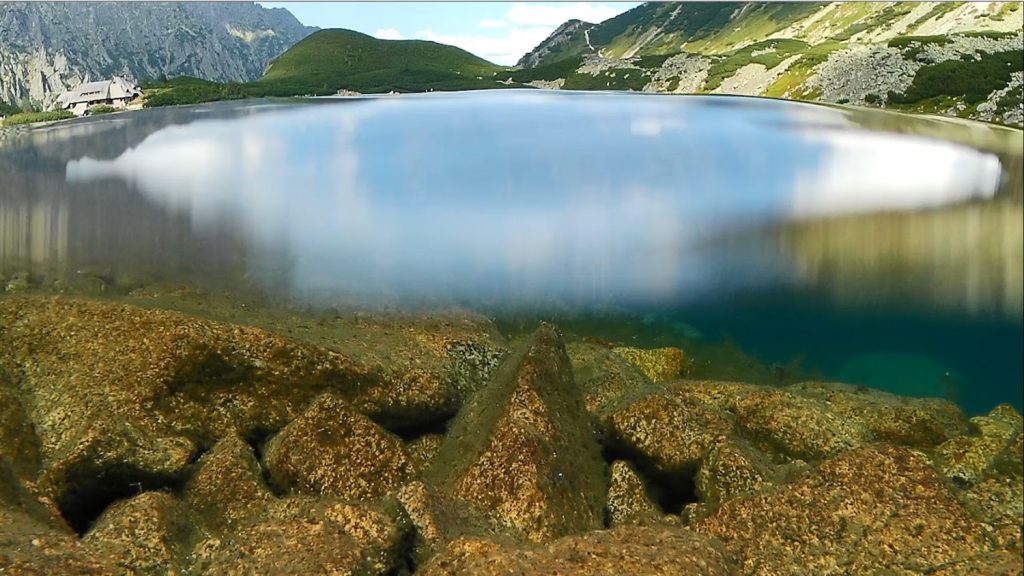 Przedni Staw Polski. Źródło: Zakład Hydrobiologii UW