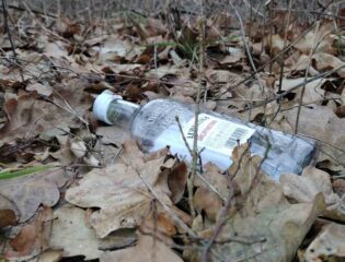 Porzucona w lesie pusta butelka po alkoholu. fot: Rafał Bernasiński