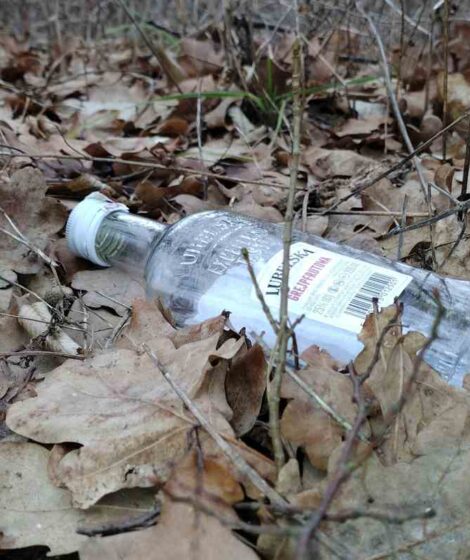 Porzucona w lesie pusta butelka po alkoholu. fot: Rafał Bernasiński