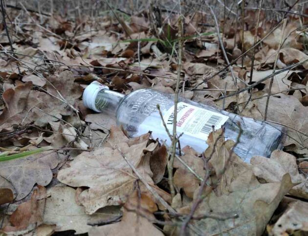 Porzucona w lesie pusta butelka po alkoholu. fot: Rafał Bernasiński