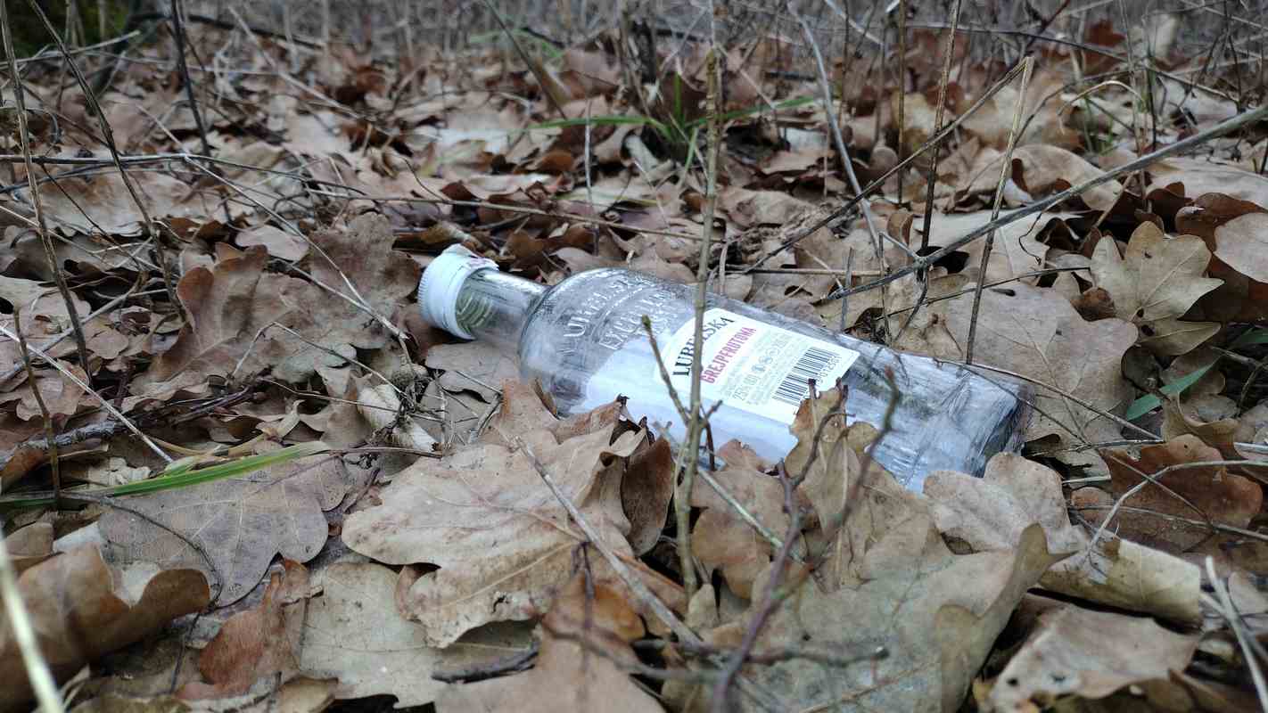 Porzucona w lesie pusta butelka po alkoholu. fot: Rafał Bernasiński