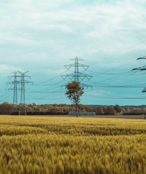 PGE Dystrybucja ma zapłacić właścicielowi gruntów 335 237 zł za linie energetyczne. Sprawdź, kto może żądać pieniędzy od operatora. fot: Moritz Kindler/Unsplasch
