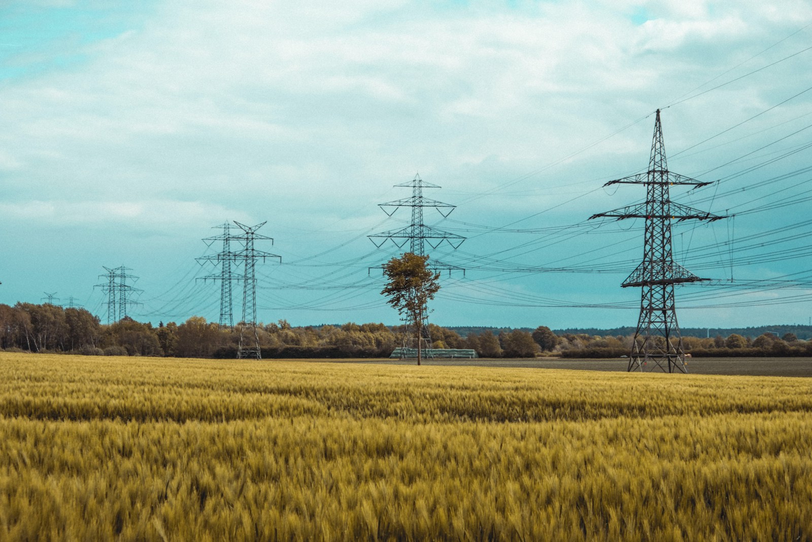 PGE Dystrybucja ma zapłacić właścicielowi gruntów 335 237 zł za linie energetyczne. Sprawdź, kto może żądać pieniędzy od operatora. fot: Moritz Kindler/Unsplasch