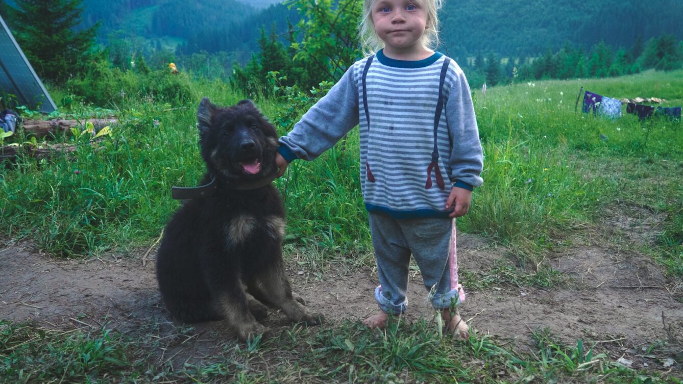 Fińscy naukowcy odkryli związek między mikrobiotą psa a mniejszą liczbą infekcji i kuracji antybiotykowych u małych dzieci. fot: Michael Walk/ Unsplash