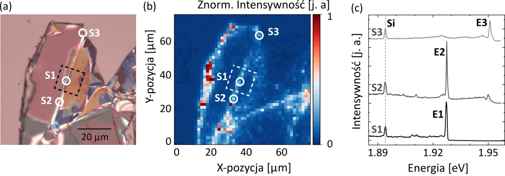 (a) Zdjęcie z mikroskopu optycznego badanego płatka ZnPS3 z zaznaczonymi punktami S1, S2 i S3, w których przeprowadzono pomiary fotoluminescencji. (b) Mapa przestrzenna znormalizowanej intensywności fotoluminescencji, obejmująca cały obszar płatka przedstawiony na panelu (a). (c) Widma fotoluminescencji zmierzone w miejscach S1, S2 i S3 zaznaczonych na panelach (a) i (b). W widmach znajdują się emitery pojedynczych fotonów oznaczone jako E1, E2 i E3. Widoczny mod ramanowski od podłoża krzemowego jest oznaczony symbolem Si. Źródło: doi.org/10.1021/acsnano.5c19936