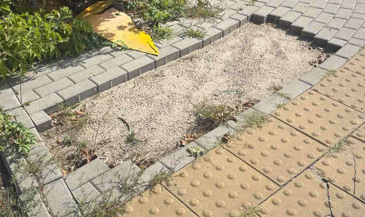 41-latek rozebrał chodnik i altanę w Otwocku. Z miejskiej kostki ułożył ścieżkę do domu. Za kradzież grozi mu pięć lat więzienia. fot: Policja