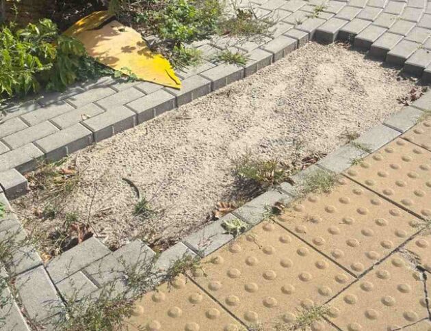 41-latek rozebrał chodnik i altanę w Otwocku. Z miejskiej kostki ułożył ścieżkę do domu. Za kradzież grozi mu pięć lat więzienia. fot: Policja