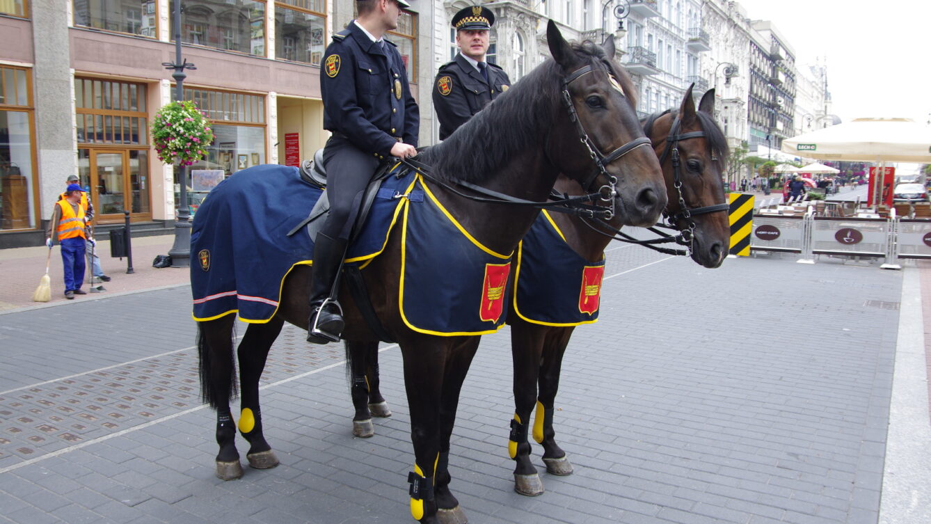 Sekcja konna Straży Miejskiej w Łodzi (2011). Autorstwa HuBar – Praca własna, CC BY-SA 3.0