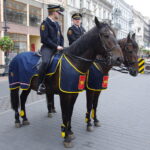 Sekcja konna Straży Miejskiej w Łodzi (2011). Autorstwa HuBar – Praca własna, CC BY-SA 3.0