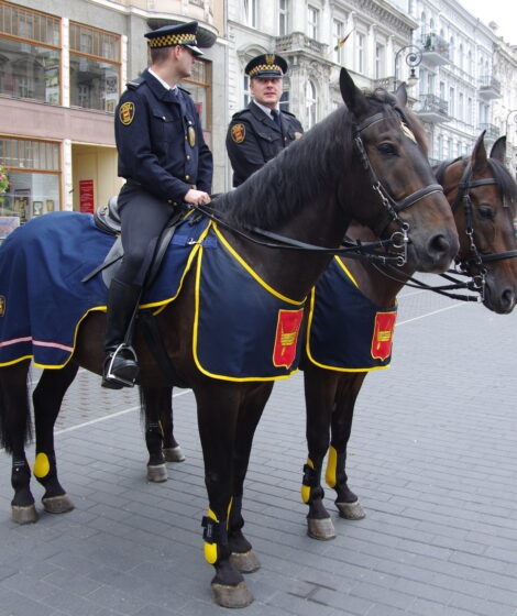 Sekcja konna Straży Miejskiej w Łodzi (2011). Autorstwa HuBar – Praca własna, CC BY-SA 3.0