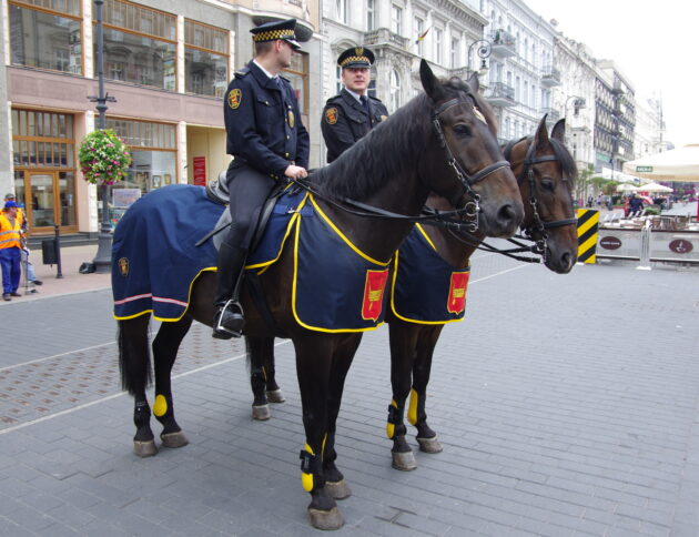 Sekcja konna Straży Miejskiej w Łodzi (2011). Autorstwa HuBar – Praca własna, CC BY-SA 3.0