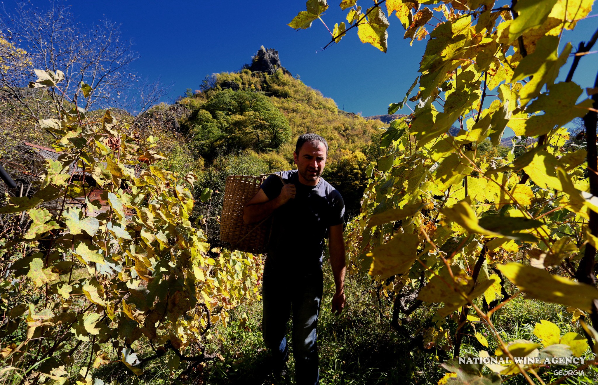 Gruzja. Kulinarna podróż do Gruzji kusi 72,1 proc. badanych Polaków. fot: National Wine Agency of Georgia, LEPL