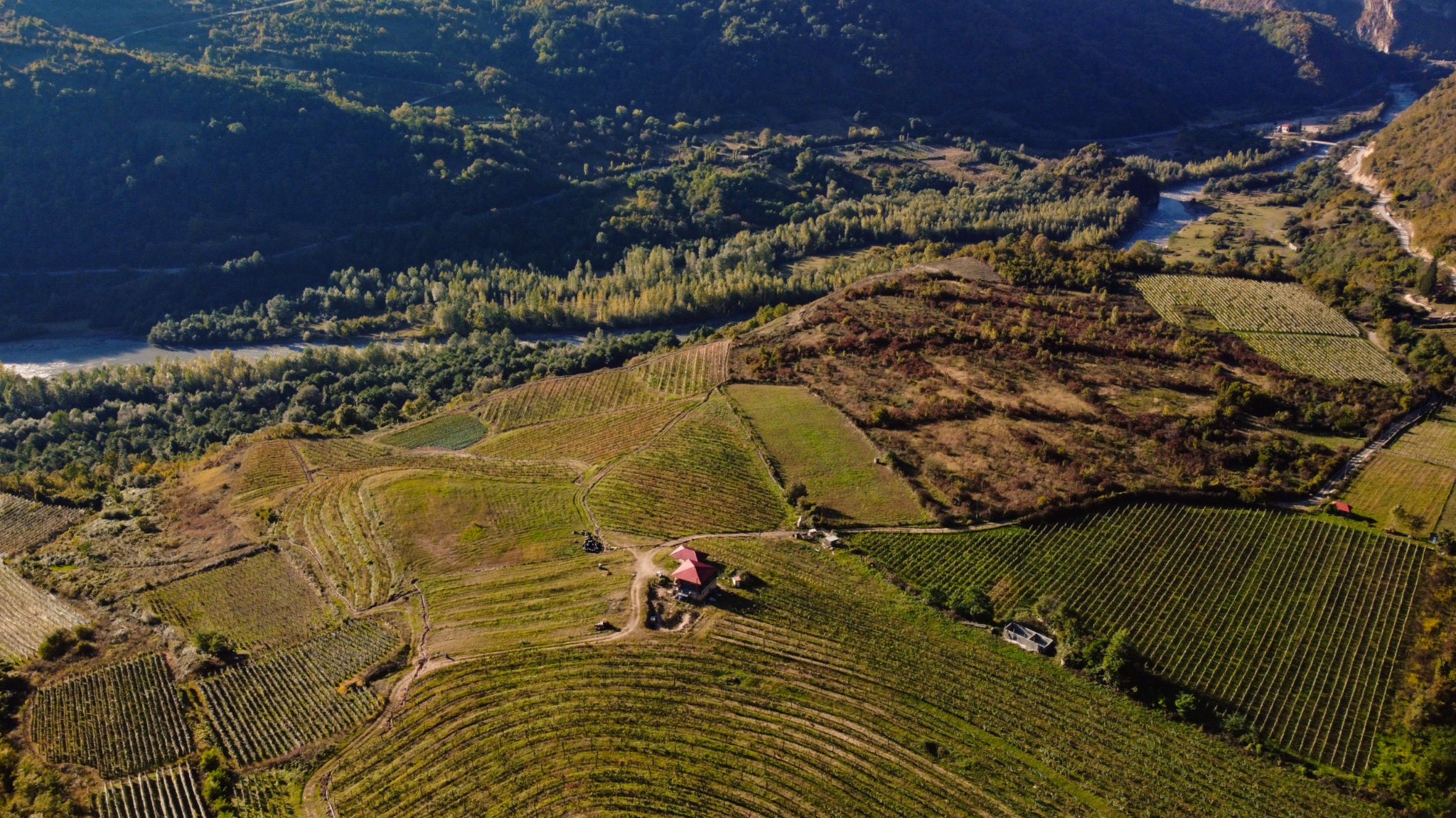 Gruzja. Kulinarna podróż do Gruzji kusi 72,1 proc. badanych Polaków. fot: National Wine Agency of Georgia, LEPL