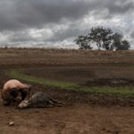 Koszty zmian klimatu w Polsce mogą sięgnąć 124 mld zł rocznie w 2050 r. Eksperci przedstawili raport i sposoby ograniczenia przyszłych strat. fot: Jasper Wilde/Unsplash