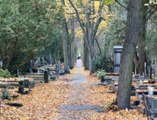 Parafia żąda 3000 zł za grób, choć wcześniej wystarczyło 400 zł. Sprawdź, kiedy trzeba płacić za grób po 20 latach, a jakich opłat można odmówić. Cmentarz Powązkowski w Warszawie ,Autorstwa Cybularny – Praca własna, CC BY 4.0