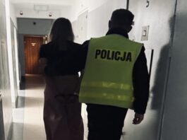 Fakty Plus Informacje