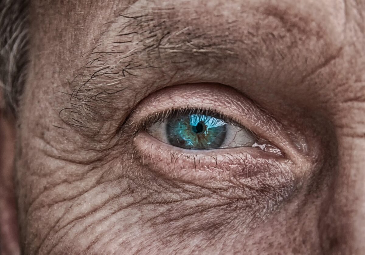 zdjęcie fragmentu twarzy - niebieskie oko oko, rzęsy, brew, pomarszczona skóra/Pixabay