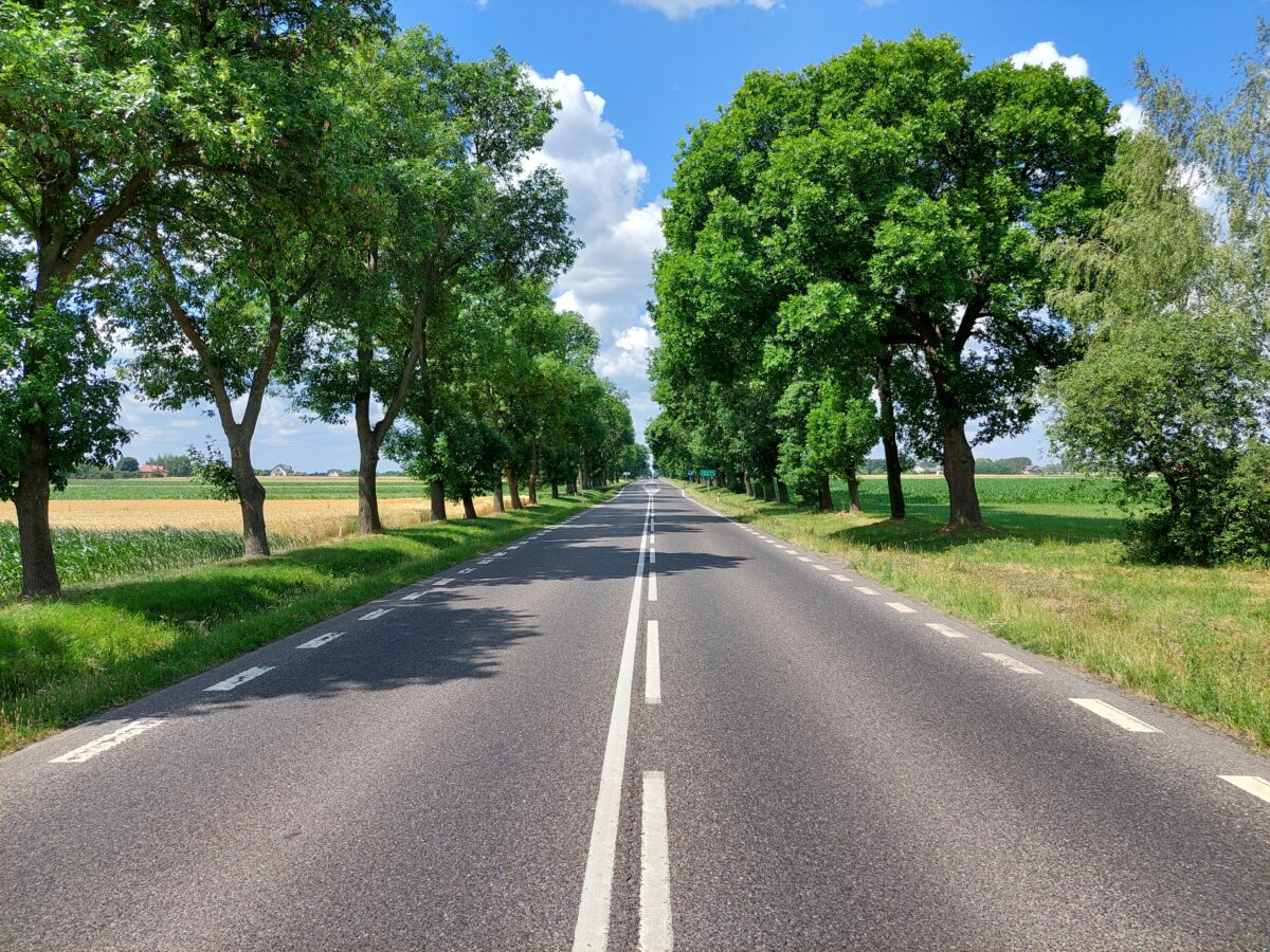 DK62-najdluzszy-odcinek-protej-drogi-w-Polsce